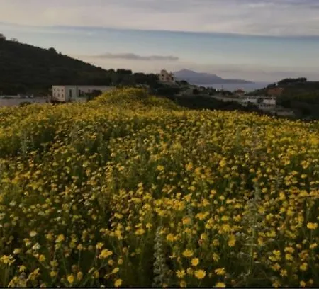 Traditional With View In Vamos Douliana